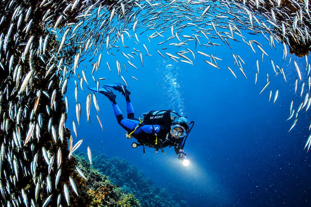 scuba diving lebanon 5