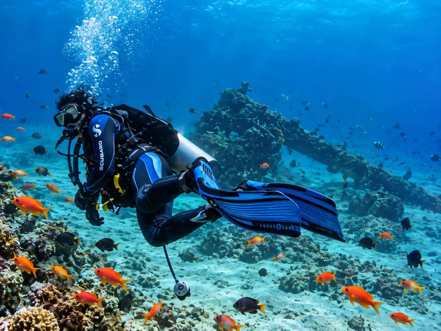 scuba diving lebanon 9