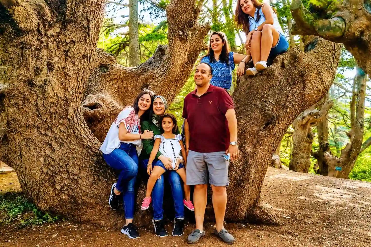 cedars of chouf 3
