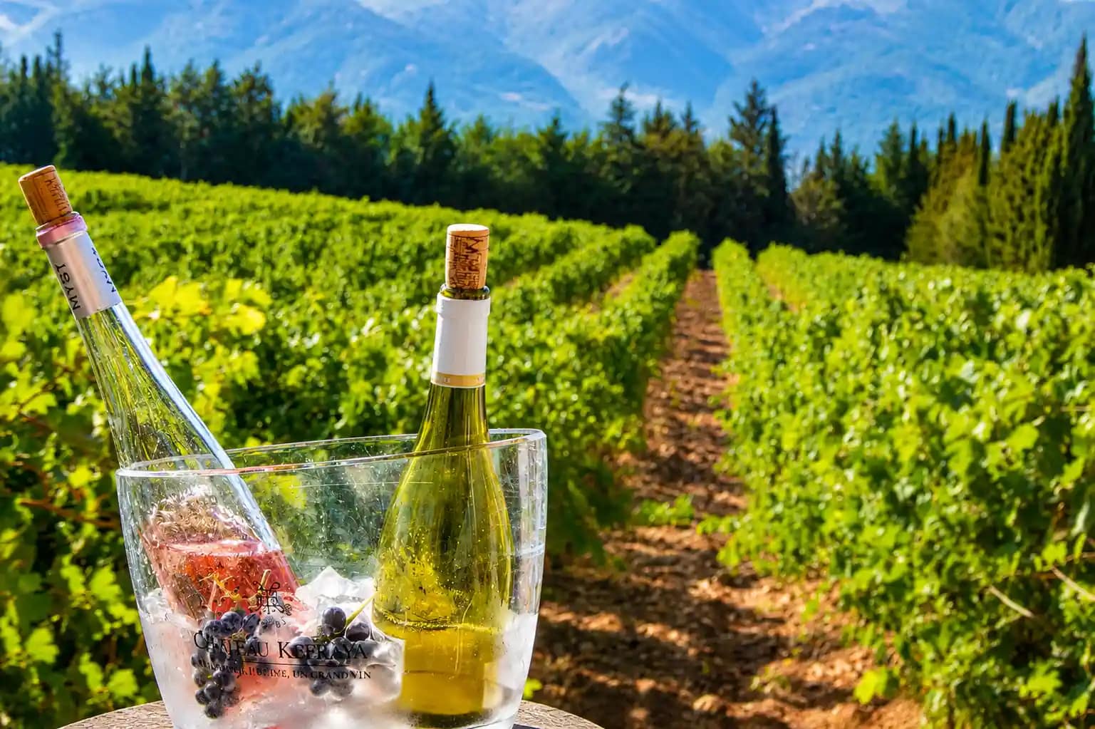 kefraya winery lebanon