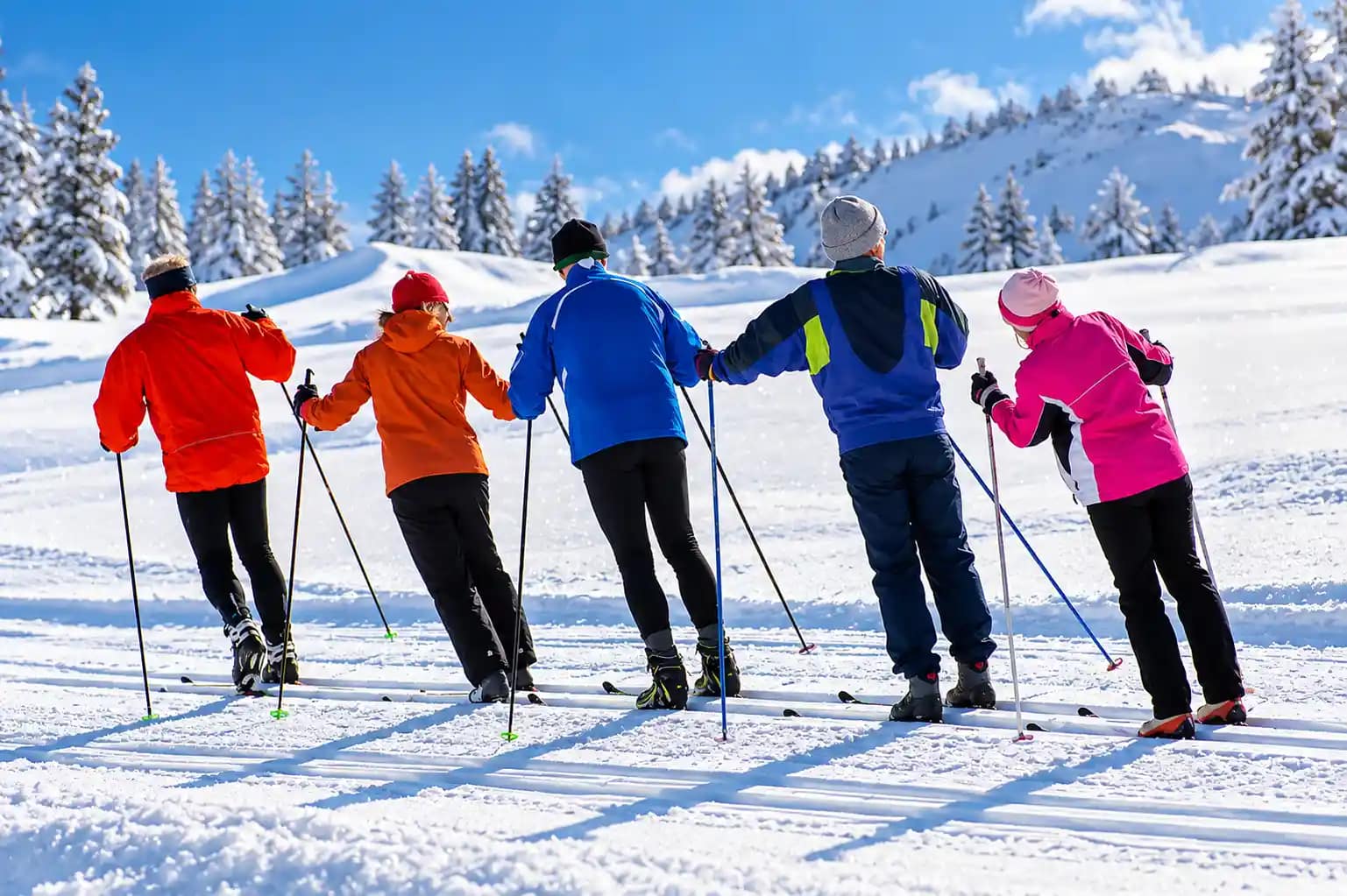 faraya 11