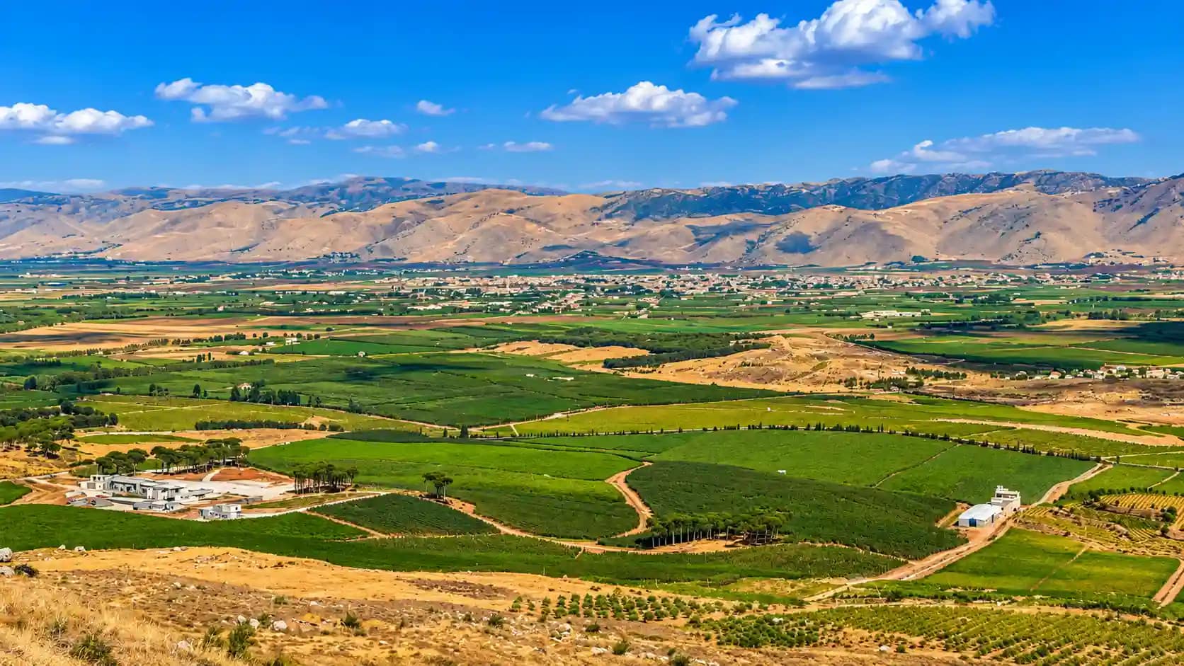 bekaa valley lebanon 20